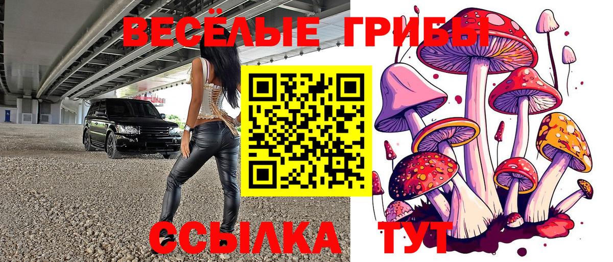 Тулун  Галлюциногенные грибы MAGIC MUSHROOMS  Вход с VPN 